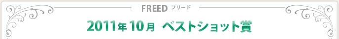 2011N10xXgVbg
