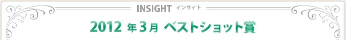 2012N3xXgVbg