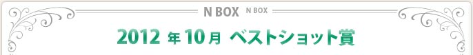 2012N10xXgVbg