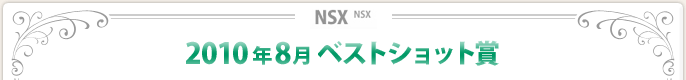 2010N8xXgVbg