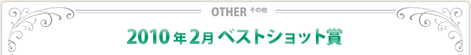 2010N2xXgVbg