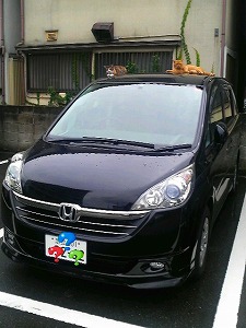 悻
