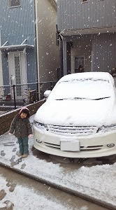 IfbZC