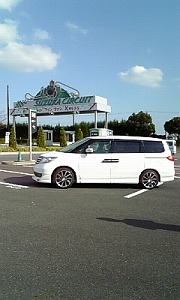 GVI vXe[W
