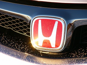 VrbNTYPE R