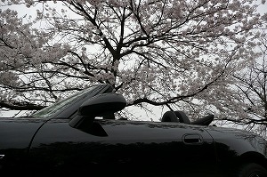 S2000