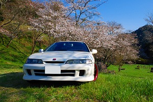 CeOTYPE R