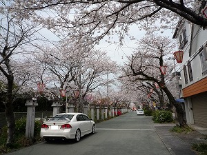 VrbNTYPE R