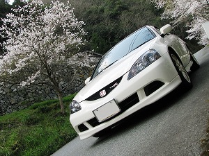 CeOTYPE R