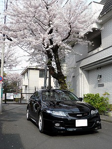 AR[h[R