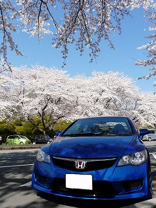 VrbNTYPE R