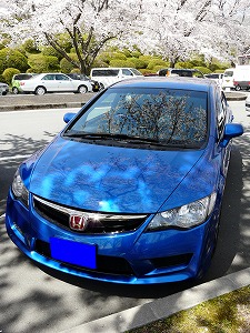VrbNTYPE R