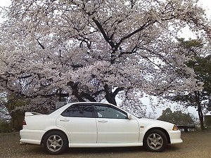 Honda ユーザーズボイス 愛車自慢と評価 トルネオ 相棒とのお花見