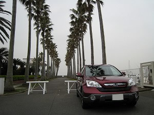 CR-V