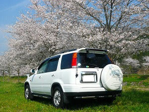 CR-V