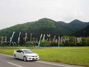 VrbNTYPE R