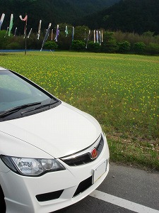 VrbNTYPE R