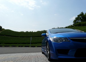 VrbNTYPE R