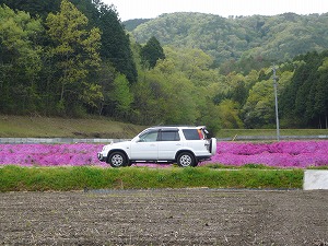 CR-V