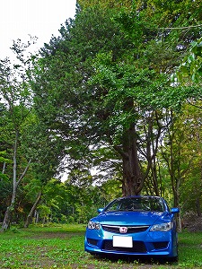 VrbNTYPE R