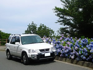 CR-V