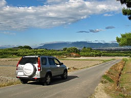 CR-V