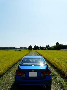 VrbNTYPE R