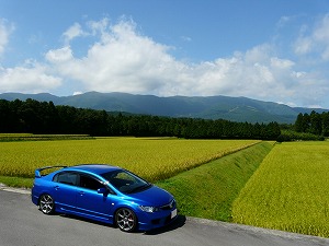 VrbNTYPE R