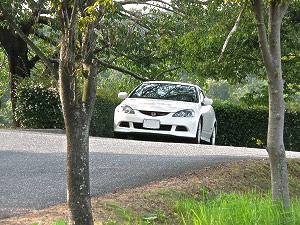 CeOTYPE R