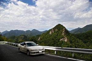 CeOTYPE R