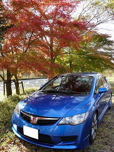 VrbNTYPE R
