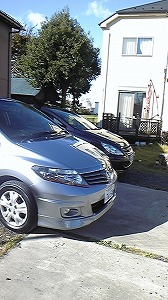 GAEFCu