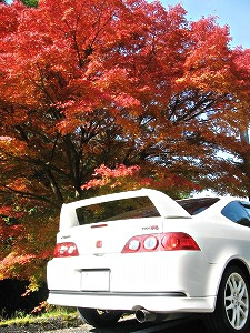 CeOTYPE R