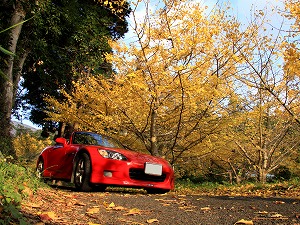 S2000