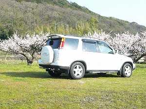 CR-V