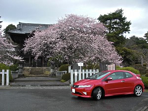 VrbNTYPE R
