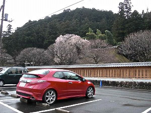 VrbNTYPE R