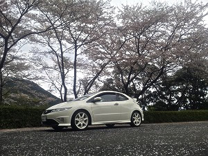 VrbNTYPE R