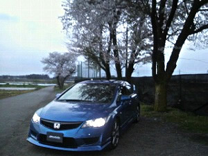 VrbNTYPE R