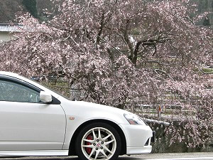 CeOTYPE R
