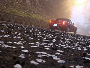 S2000