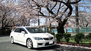 VrbNTYPE R