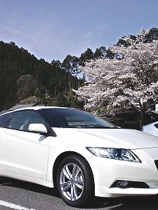 CR-Z