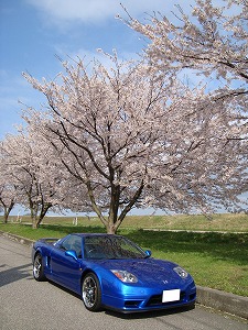 NSX
