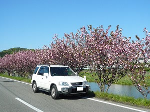 CR-V