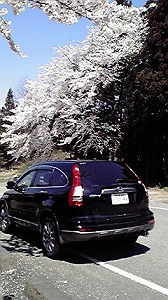 CR-V