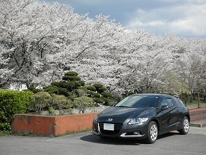 CR-Z