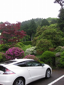 CR-Z