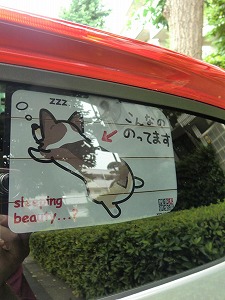 CTCg
