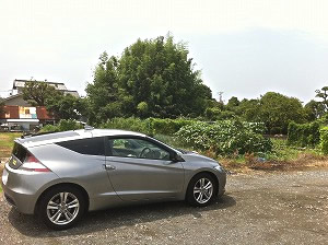 CR-Z